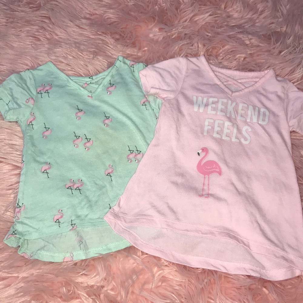 Set of Two Flamingo Tunic Play Shirts